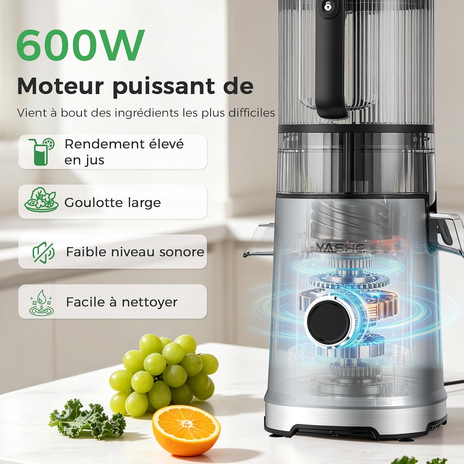YASHE 600W šnekový odšťavňovač 152 mm na celé ovoce