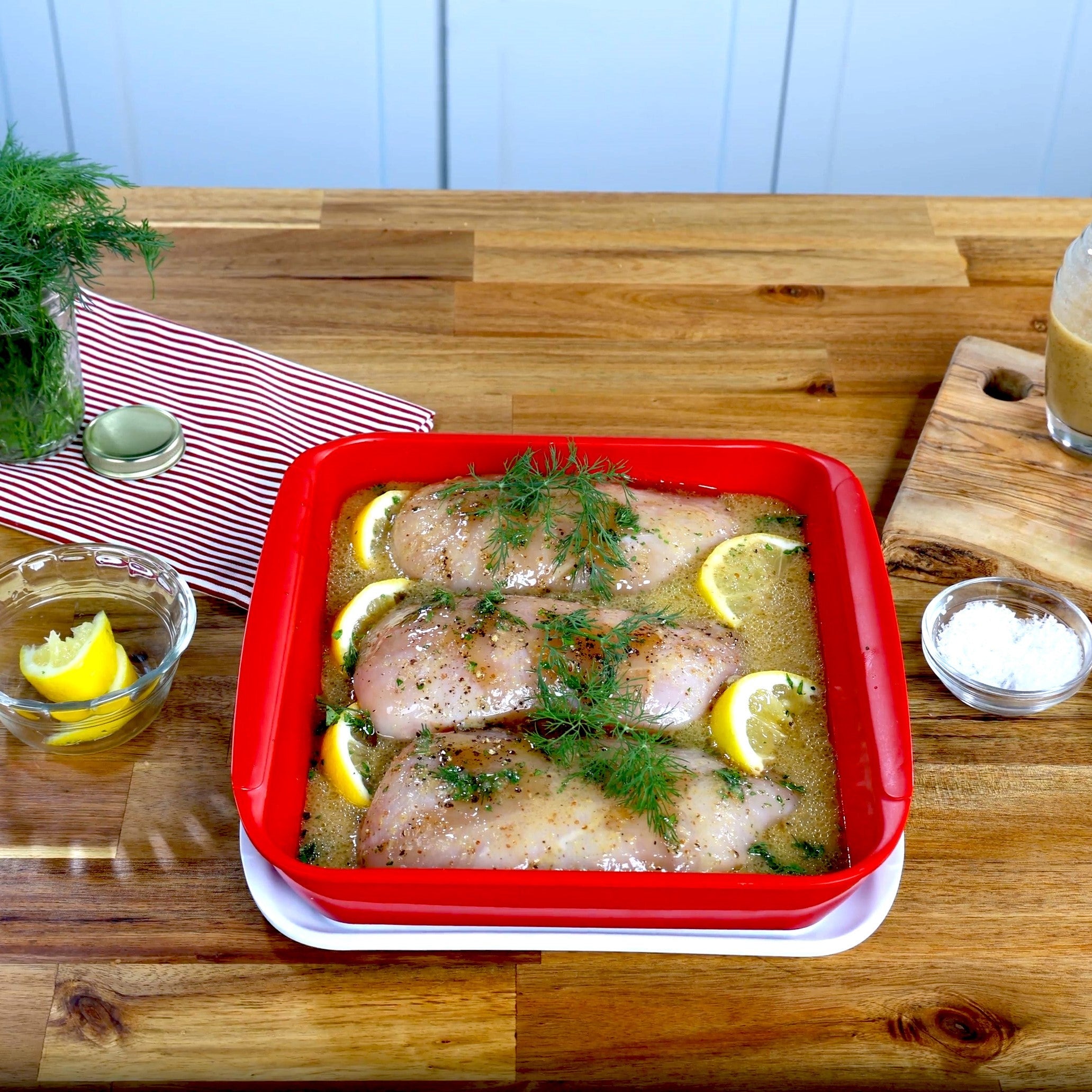 Tovolo Marinade Tray marinovaci miska cervena 10,5 palcu