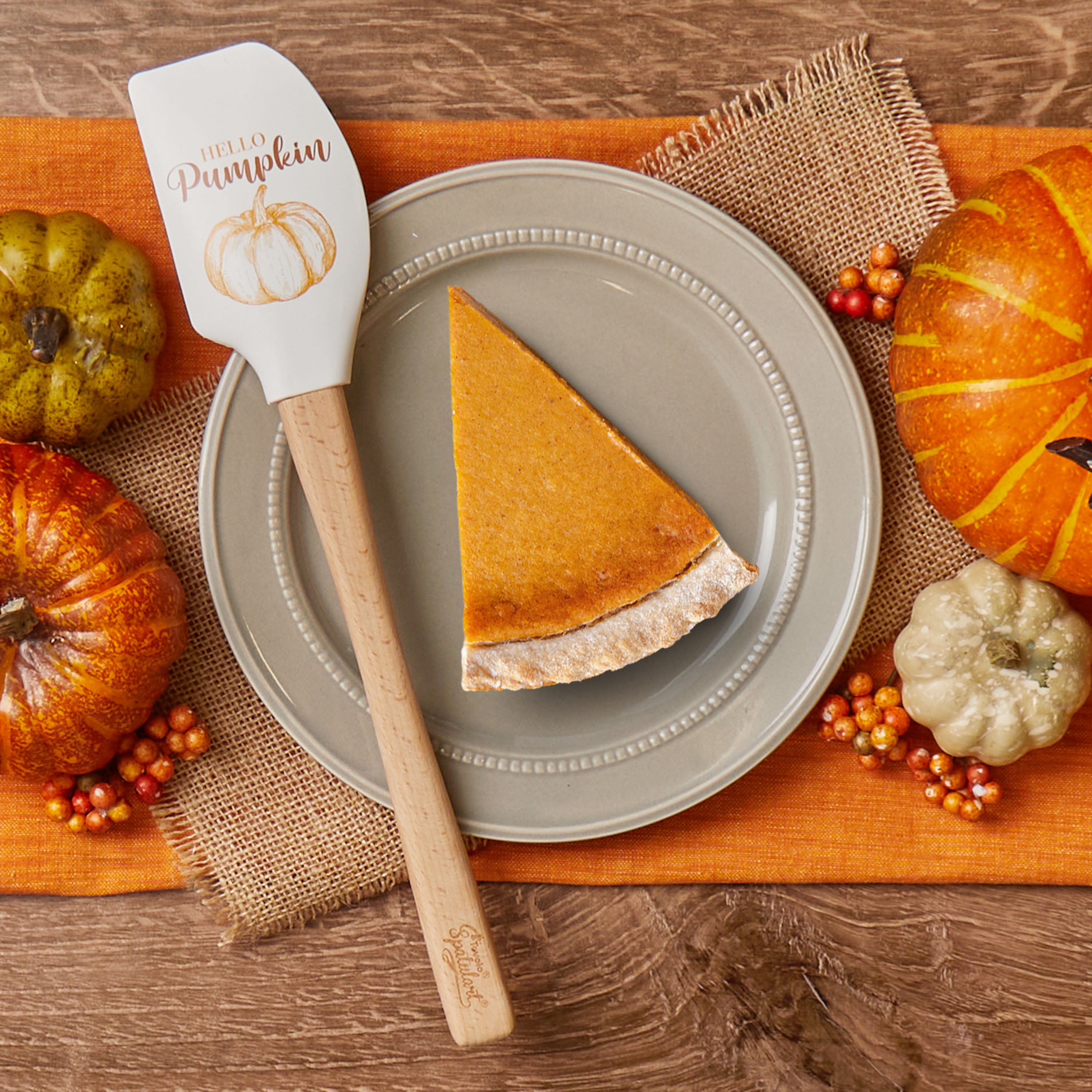 Tovolo Spatulart Autumn silikonová stěrka s dřevem